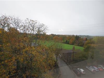 Picture 11